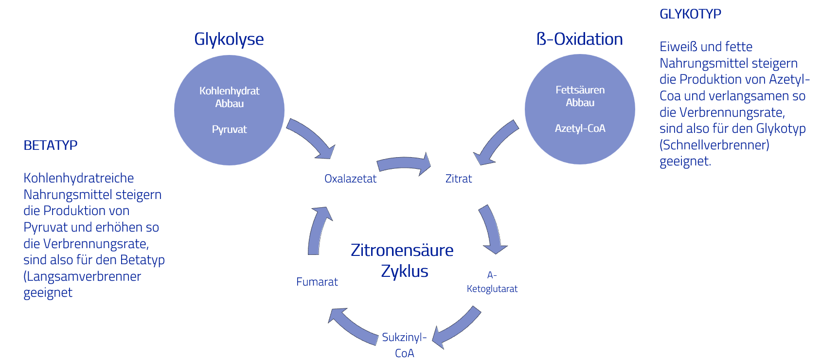 Verbrennungszyklus